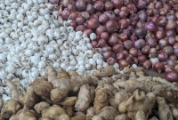 হঠাৎ-কেন-কমছে-পেঁয়াজ-রসুনের-দাম--জানা-গেল-পেছনের-কারণ