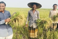 যেভাবে-পাবেন-‘কৃষক-কার্ড’-যেভাবে-আবেদন