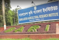 বাংলাদেশ-কৃষি-গবেষণা-ইনস্টিটিউটে-বিশাল-চাকরির-সুযোগ