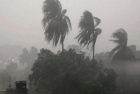 দেশের-চার-জেলায়-৮০-কিমি-বেগে-ঝড়ের-পূর্বাভাস