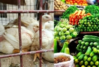 রাজধানীতে-অর্ধেকে-নেমে-এসেছে-মুরগি-বিক্রি