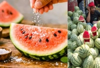 তরমুজের-উপর-লবণ-ছড়িয়ে-খেলে-কী-হয়-জানলে-অবাক-হবেন