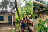 আড়াই-ঘণ্টারও-বেশি-সময়-ধরে-কালবৈশাখীর-তাণ্ডব-নিহত-১