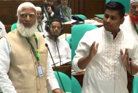 সংসদে-গাড়ি-চাইলেন-হাসনাত-জামায়াত-আমির-বললেন-ছোটদের-‘না’-বলতে-নেই