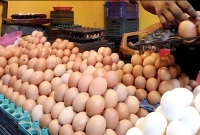 রাজধানীতে-সেই-১০০-টাকার-ডিম-হঠাৎ-কত-হলো-জানেন-