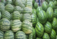 কখন-তরমুজ-খাওয়া-সবচেয়ে-নিরাপদ-