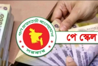 যেভাবে-হবে-পে-স্কেল-বাস্তবায়ন-জানুন-সুখবরটি