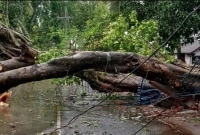 আধা-ঘণ্টা-স্থায়ী-কালবৈশাখীর-তাণ্ডব-ব্যাপক-ক্ষয়ক্ষতি