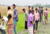 ভুট্টার-জন্য-ছেলের-হাতে-বাবা-ও-ভাই-খুন