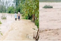 বাঁধ-ভেঙে-পানির-নিচে-২০-গ্রাম-তলিয়ে-গেছে-ধানসহ-বিভিন্ন-ফসল