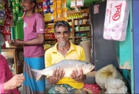 -এত-বড়-ইলিশ-আগে-কখনো-পাইনি-