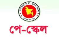 যাদের-জন্য-বাড়তি-সুবিধা-রাখা-হয়েছে-এবারের-পে-স্কেলে