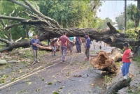 জামালপুরে-কালবৈশাখীর-ভয়াবহ-তাণ্ডব