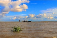 ঝড়ের-কবলে-ট্রলারডুবি-২৩-কোরবানির-গরুসহ-ব্যবসায়ী-নিখোঁজ