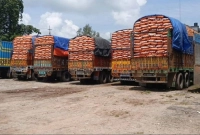 দাম-কমেছে-পেঁয়াজ-আদা-রসুনসহ-বিভিন্ন-নিত্যপ্রয়োজনীয়-পণ্যের