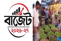 এবারের-বাজেটে-দাম-কমতে-পারে-যেসকল-পণ্যের