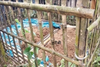 স্বপ্নে-দেখল-জীবিত-দাফনের-১৮-দিন-পর-কবর-খুঁড়ে-যা-মিলল