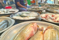 -মাংসের-দাম-কমলেও-মাছের-দাম-বাড়তি-