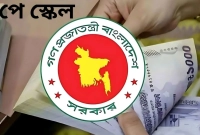 কেন-বিলম্ব-হচ্ছে-পে-স্কেল-গেজেট-প্রকাশ--জানা-গেল-মূল-কারণ