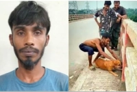 গলায়-ইট-বেঁধে-কুকুরকে-নদীতে-ফেলে-হত্যার-ঘটনায়-ব্যথিত-প্রধানমন্ত্রী-ব্যবস্থা-নেয়ার-নির্দেশ