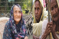 যা-করলে-মিলবে-বয়স্ক-বিধবা-প্রতিবন্ধী-ভাতা-যেভাবে-আবেদন