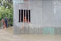 তলিয়ে-গেছে-একের-পর-এক-গ্রাম-অসহায়-হাজার-হাজার-মানুষ