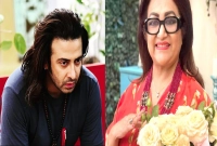 শর্ত-দিয়ে-শাকিব-খানের-অনুরোধ-রাখলেন-চিত্রনায়িকা-ববিতা