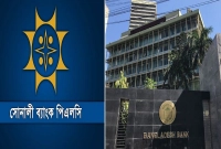 ঋণ-বিতরণ-ইস্যুতে-বড়-সুখবর-সোনালী-ব্যাংকের-গ্রাহকদের-জন্য