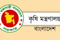 যারা-হতে-পারবেন-না-সার-ডিলারশিপের-মালিক-নতুন-নির্দেশনা-জারি