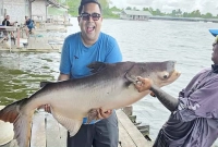 থাইল্যান্ডে-বাংলাদেশি-মাছশিকারির-বড়শিতে-৭৬-কেজির-বিশাল-মাছ