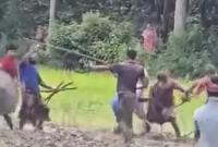 দুই-পক্ষের-মধ্যে-দফায়-দফায়-সংঘর্ষ-ভাঙচুর-ও-লুটপাট