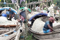 ‘২০-দিন-ধরে-নদীতে-যাই-আর-আই-২০-দিন-পর-দুইডা-মাছ-পাইছি-