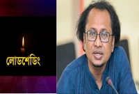 কবে-থেকে-কমবে-লোডশেডিং-জানালেন-তথ্য-উপদেষ্টা
