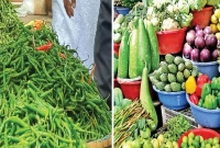 পাল্টে-গেছে-খুলনার-বাজারের-চিত্র-হঠাৎ-যত-হলো-ডিম-ও-মুরগির-দাম
