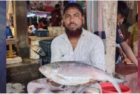 ১২-হাজার-টাকায়-বিক্রি-হলো-আড়াই-কেজির-এই-রাজা-ইলিশ