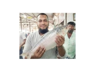 ১১-হাজার-টাকায়-বিক্রি-হলো-এই-‘রাজা-ইলিশ’