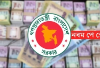 অনলাইনে-দেওয়া-হলো-সরকারি-কর্মকর্তা-কর্মচারীদের-বেতন-নির্ধারণের-পুরো-প্রক্রিয়া