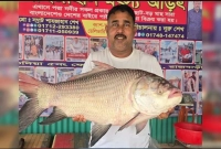 ৫৭-হাজার-টাকায়-বিক্রি-হলো-২২-কেজির-বিশাল-কাতলা-মাছ