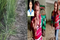 অবশষে-আটক-আলোচিত-তাজমীন-হত্যার-মূলহোতা