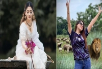 পূজা-চেরির-বিশেষ-বার্তা