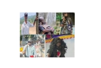 কখনো-মুচি-কখনো-ফেরিওয়ালা-—ছদ্মবেশে-অপরাধের-খবর-সংগ্রহ-করতেন-সাংবাদিক-আলিফ-ফকির