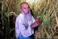 ধানক্ষেতে-লুকিয়েও-শেষ-রক্ষা-হলো-না-আওয়ামী-লীগ-নেতার